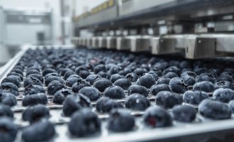 заморозка голубики