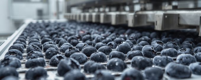 заморозка голубики